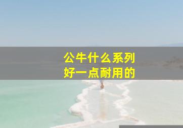 公牛什么系列好一点耐用的