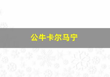 公牛卡尔马宁