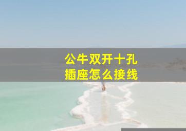 公牛双开十孔插座怎么接线