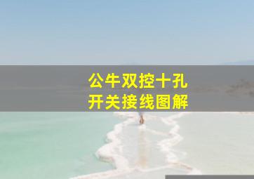 公牛双控十孔开关接线图解