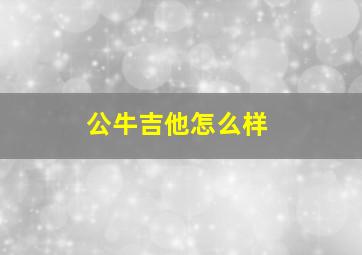 公牛吉他怎么样