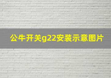 公牛开关g22安装示意图片