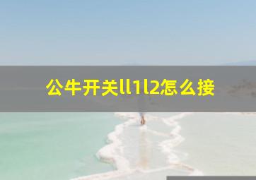 公牛开关ll1l2怎么接