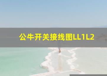 公牛开关接线图LL1L2