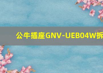 公牛插座GNV-UEB04W拆解