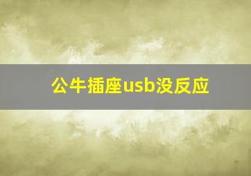 公牛插座usb没反应