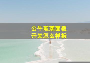 公牛玻璃面板开关怎么样拆