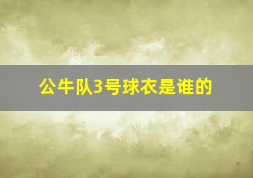 公牛队3号球衣是谁的