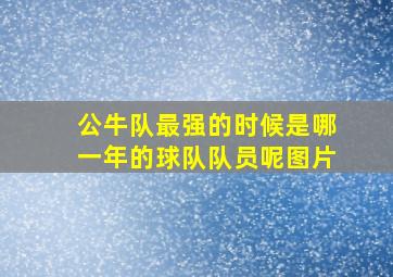 公牛队最强的时候是哪一年的球队队员呢图片