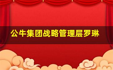 公牛集团战略管理层罗琳