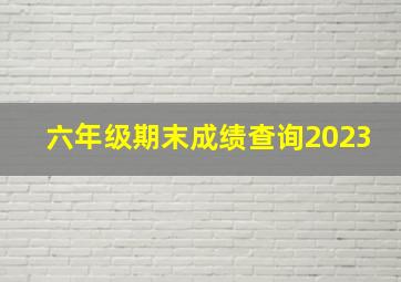 六年级期末成绩查询2023