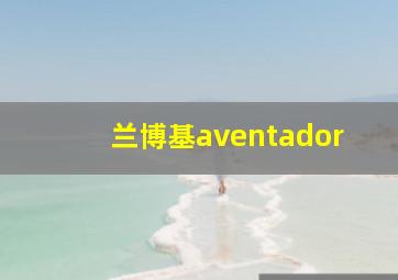 兰博基aventador