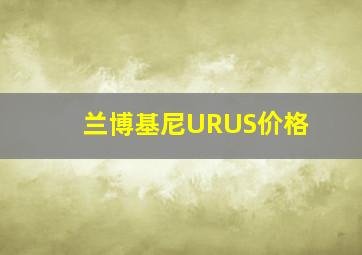 兰博基尼URUS价格