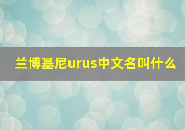 兰博基尼urus中文名叫什么