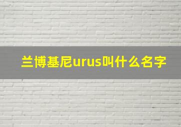 兰博基尼urus叫什么名字