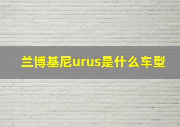 兰博基尼urus是什么车型