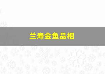 兰寿金鱼品相