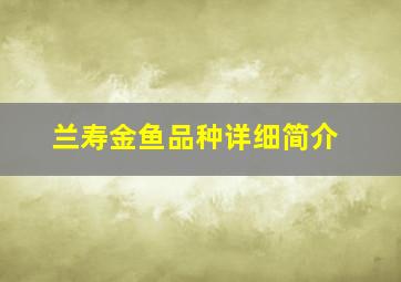 兰寿金鱼品种详细简介