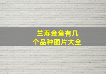 兰寿金鱼有几个品种图片大全