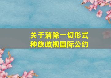 关于消除一切形式种族歧视国际公约