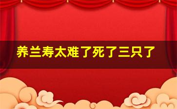 养兰寿太难了死了三只了