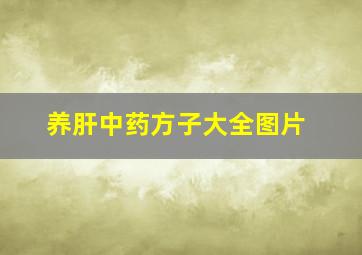 养肝中药方子大全图片