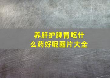 养肝护脾胃吃什么药好呢图片大全