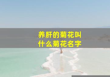 养肝的菊花叫什么菊花名字