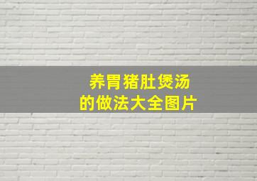 养胃猪肚煲汤的做法大全图片