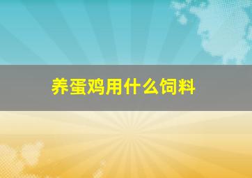 养蛋鸡用什么饲料