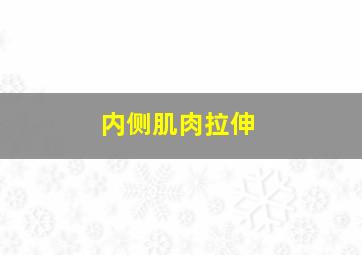 内侧肌肉拉伸