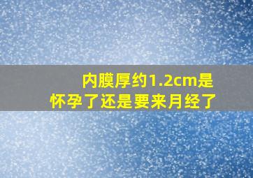 内膜厚约1.2cm是怀孕了还是要来月经了