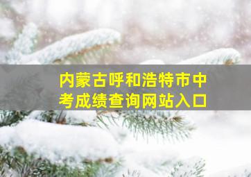 内蒙古呼和浩特市中考成绩查询网站入口