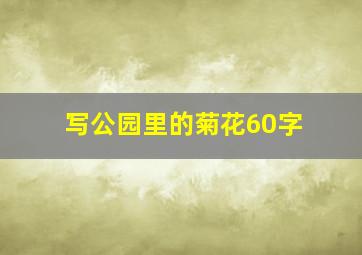 写公园里的菊花60字