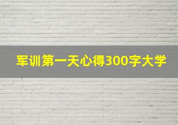 军训第一天心得300字大学