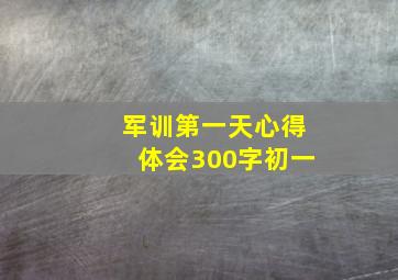 军训第一天心得体会300字初一