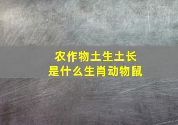 农作物土生土长是什么生肖动物鼠