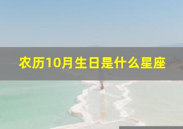 农历10月生日是什么星座