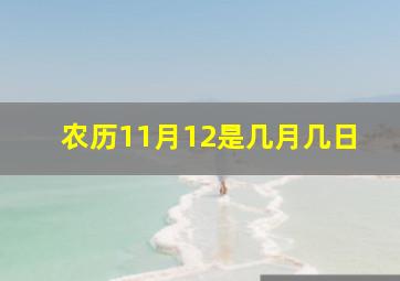 农历11月12是几月几日