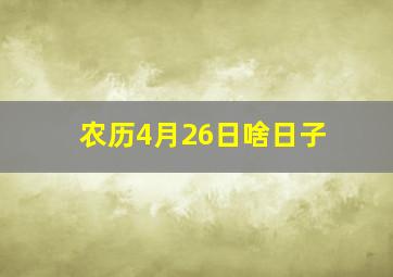 农历4月26日啥日子