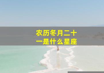 农历冬月二十一是什么星座