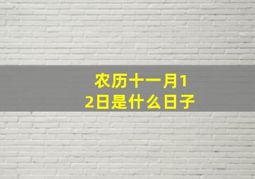 农历十一月12日是什么日子