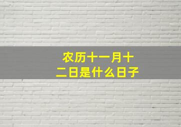 农历十一月十二日是什么日子