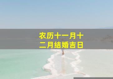 农历十一月十二月结婚吉日