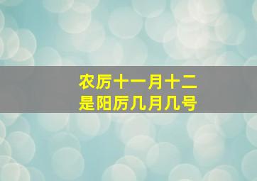 农厉十一月十二是阳厉几月几号