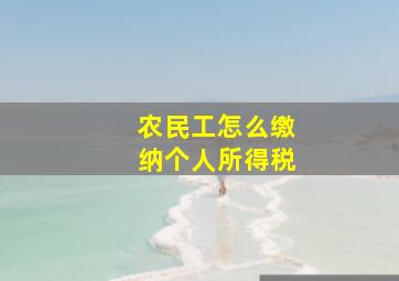 农民工怎么缴纳个人所得税