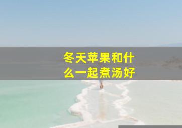 冬天苹果和什么一起煮汤好