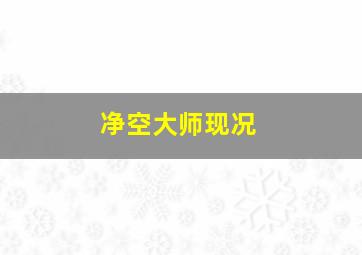 净空大师现况