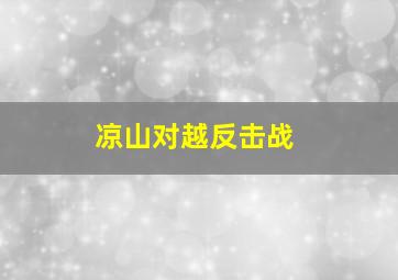 凉山对越反击战