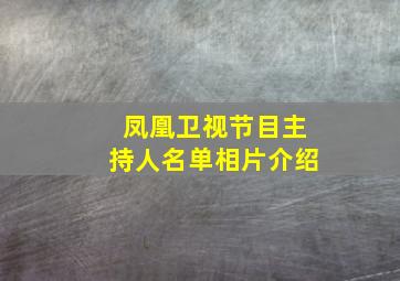 凤凰卫视节目主持人名单相片介绍